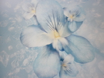 Blue Flowers