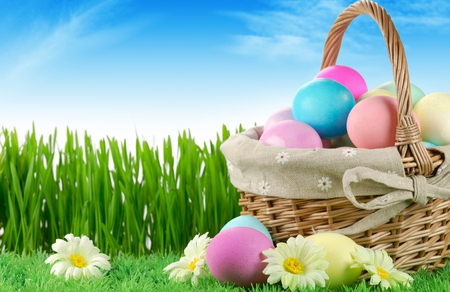 Happy Easter - pretty, eggs, springtime, spring, pink, religious, flowers, daisies, easter, holiday, field, nice, beauty, colors, still life, basket, happy easter, easter eggs, nature, green, stilllife, blue, daisy, grass, egg, sky, clouds, beautiful, photography, lovely, sweet, colorful, peaceful