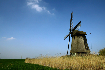 windmolen - storm, nature, green, grass, field, dark clouds, tree