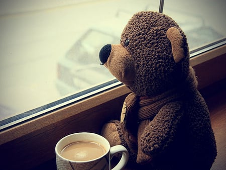 Your true friend - nice, cappuccino, toys, macro, photography, teddy bear