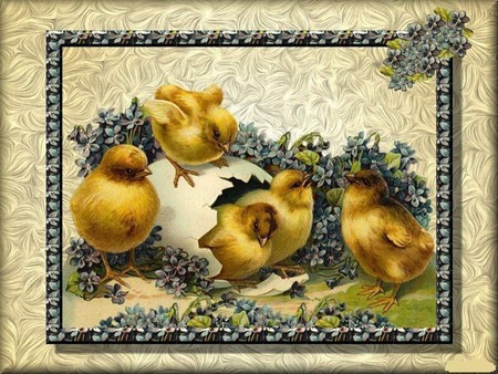 Little chicks - chicken, egg, flowers, chicks