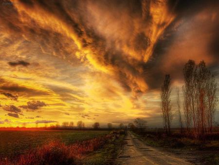 Wonderful-autumn - sky, autumn, trees, wonderful, road, gold, nature, clouds, grass