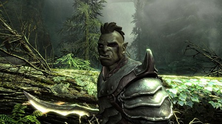 The elder Scrolls V : Skyrim - v, scrolls, skyrim, elder