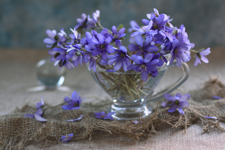 still life - pretty, elegantly, blue, beautiful, photography, lovely, photo, cool, flower, still life, gentle, bouquet, harmony, flowers, nice