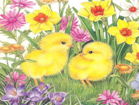 Tiny chicks - tiny, flowers, easter, chicks