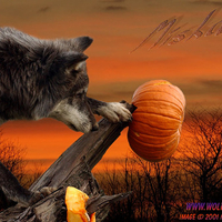 Miska With a Pumpkin