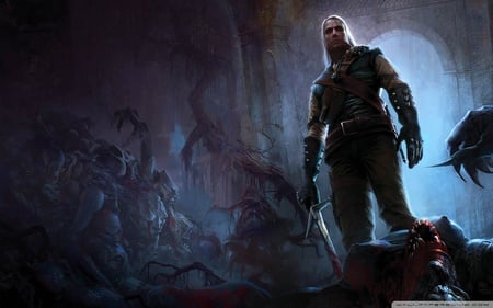 The Witcher - hd, adventure, assassins, fighting, video game, action, cg, the witcher