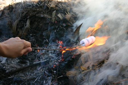 roasting marshmallow's - yummy, marshmallows, daughter, fire