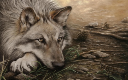 Beautiful Wolf - wolf, painting, wolves, animals, dog, dogs, animal