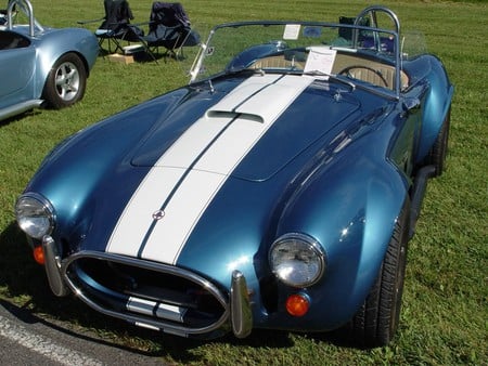 Blue Shelby Cobra - cobra, shelby, white, blue, sportscar, stripes