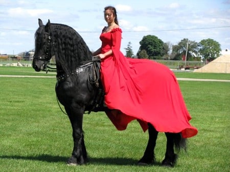 Beauty & Beast - holland, rider, girl, black, horses, lady, dutch, friesian, friesland