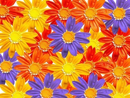 TEXTURED FLOWERS - bluish, yellow, orange, purple