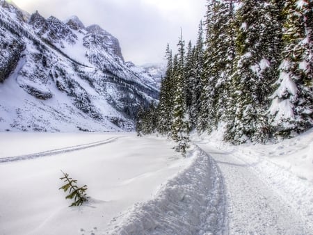 Winter - beauty, sky, trees, landscape, peaceful, winter, mountains, path, lovely, road, nature, white, view, snow, beautiful