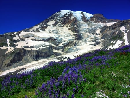 Landscape - pretty, blue, splendor, landscape, snow, grass, spring, flowers, view, sky, beautiful, beauty, colors, lovely, colorful, nature, green, mountains, peaceful, wild flowers