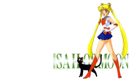 Sailor Moon - sailor moon, anime, luna, usagi