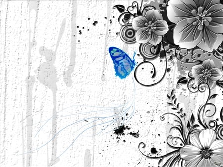 Blue Butterfly - white, abstract, butterfly, grey, blue, flowers