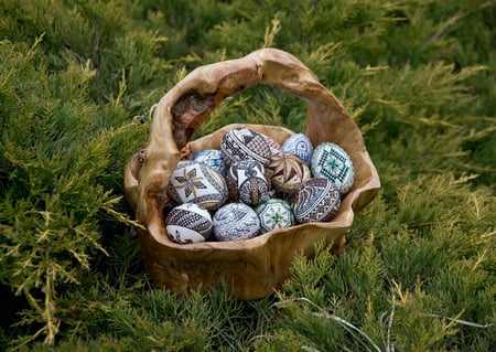 Easter Basket - easter, backyard, basket, still life, eggs, grass