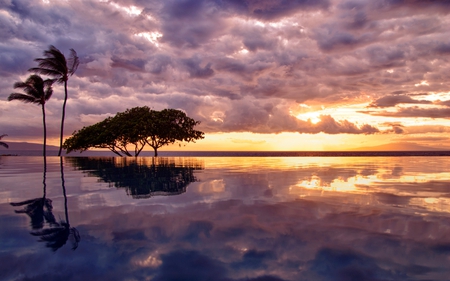 WINDY EVENING - trees, water, sea, ocean, reflection, tree, sunset, pool, cloud, palm trees, sky