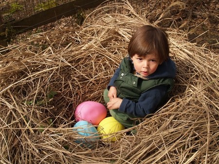 Easter nest - eggs, easter, child, nest