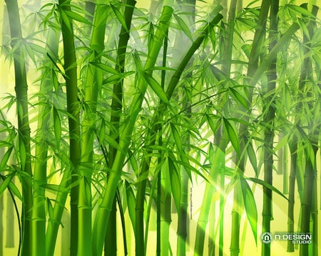 BAMBOO PROFILE - plant, gree, wallpaper, bamboo