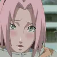 bashful sakura