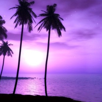 PURPLE TWILIGHT