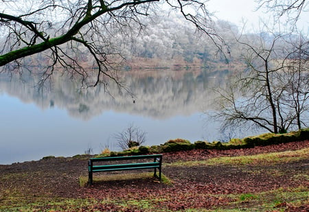 Beautiful place - amazing, landscape, reflection, view, bench, lake, sky, woods, branches, trees, water, beautiful, peacefull, beauty, rest, popular, nature, tranquility, lakes, silent