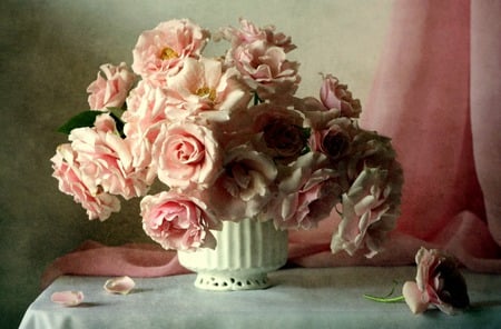 Signature Pink - roses, flowers, table, still life, pink roses, white vase, pink curtain