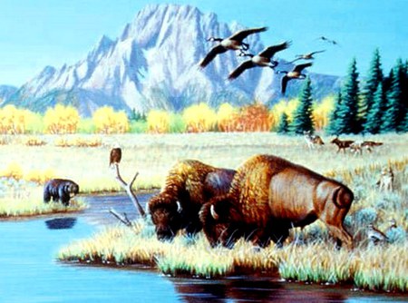 WILDERNESS - lake, mountains, bear, geese, bison