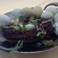 Easter Nest