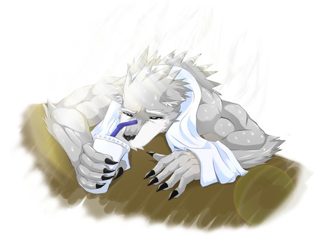 It's a very hot day... - wolf, white, drink, hot, furry