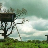 tree house