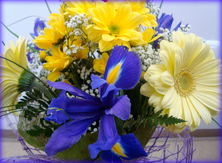 yellow & blue - flowers, vase, yellow, blue, still life