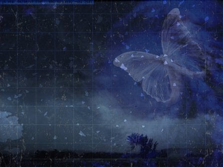 Butterfly Wings - wings, butterfly, fantasy, abstract, blue