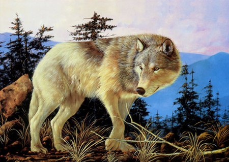 Beautiful painted Wolf - animal, dogs, spirit, wolf, painting, art