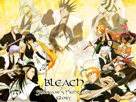 Bleach - girls, love, fight, anime, boys, friendship, glory