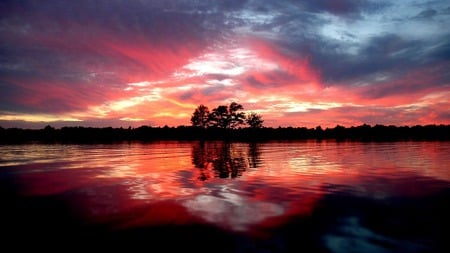 Red Sunset - nature, sky, lake, dark, red, tree, sunset