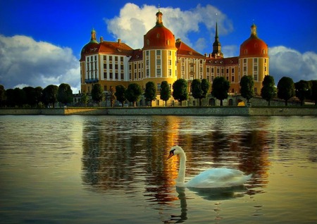 Peaceful Beauty - swan, building, trees, clouds, river, water, bird