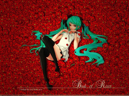 bed of red roses - pretty, anime, girl, flowers, lieing down, black thigh highs, miku, red, aqua hair