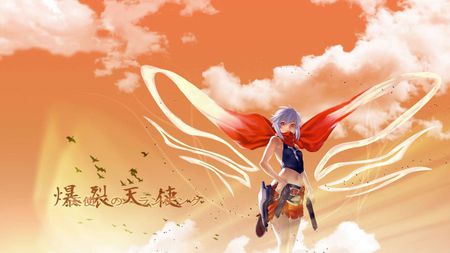 summers sky - clouds, pretty, anime, birds, sunight, summer, girl, sunset, wings, japanese writing, sky