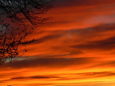 Ignited - ignited, triplerubik, background, sun, sunset, set, wowowow, new mexico, nature, wow, wowow, amazing, epic, idnite, beautiful, sunsets