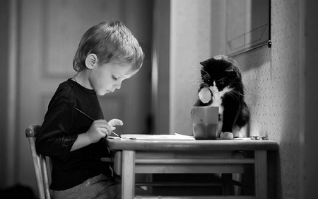 Curiousity - boy, paint, kitten, cute, black and white