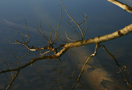 What is Real ? - reflections, sierras, mountains, lakes