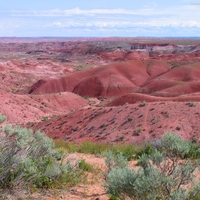 Petrified Forest Arizona