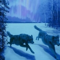 Wolves in the blue night