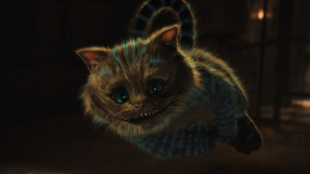 Angry cat - animal, angry, fantasy, cat