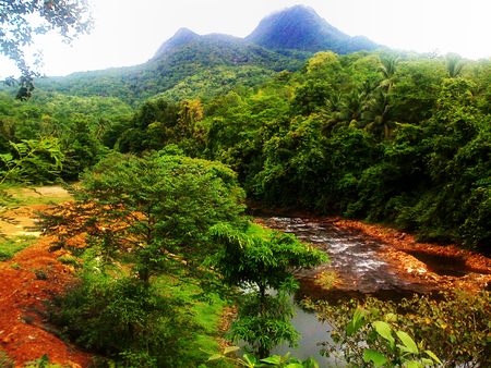 Jungle Mountain river - trees, mountain, jungle, water, green, grass