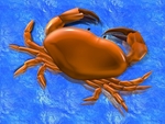 Crab