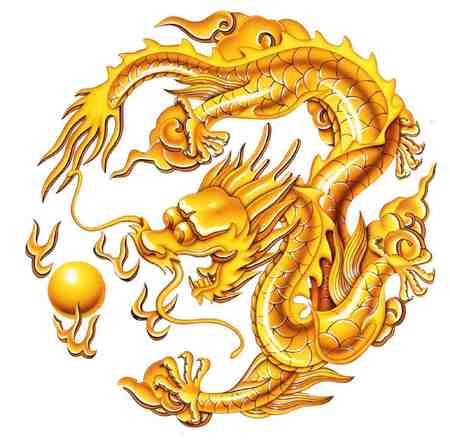 gold dragon - gold dragon