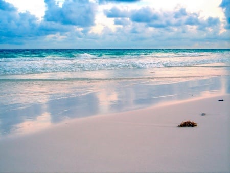 beach reflections  - reflections